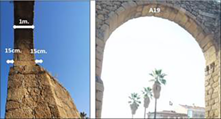 medium/medium-ARQ-ARQT-20-e138-gf8.png
