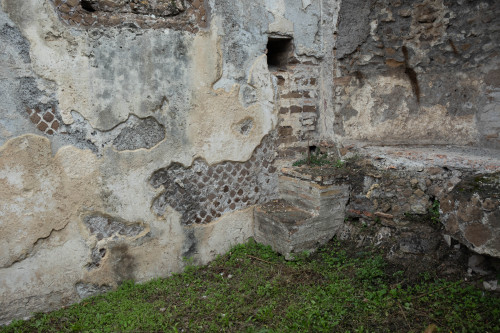 media/cd9a036ea0384c3fa4d0523f488c0cae_031.jpg